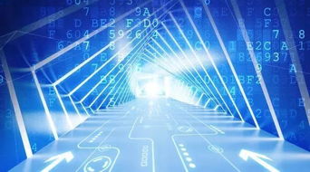 数字化浪潮席卷多行业 金融、农业、交通、医疗的变革与大数据平台预警新生态